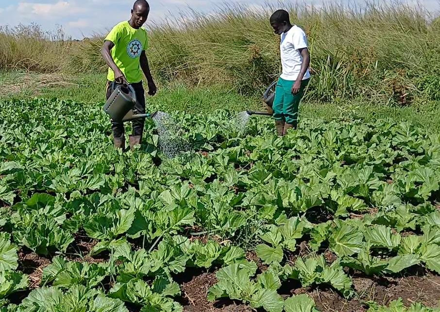 Cooperativa de Agricultura